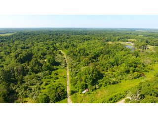 TRACT 82 - ILLINOIS LAND AUCTION - 4,810+/- ACRES OFFERED IN 85 TRACTS IN FRANKLIN, WILLIAMSON, HAMILTON & SALINE COUNTIES, ILLINOIS